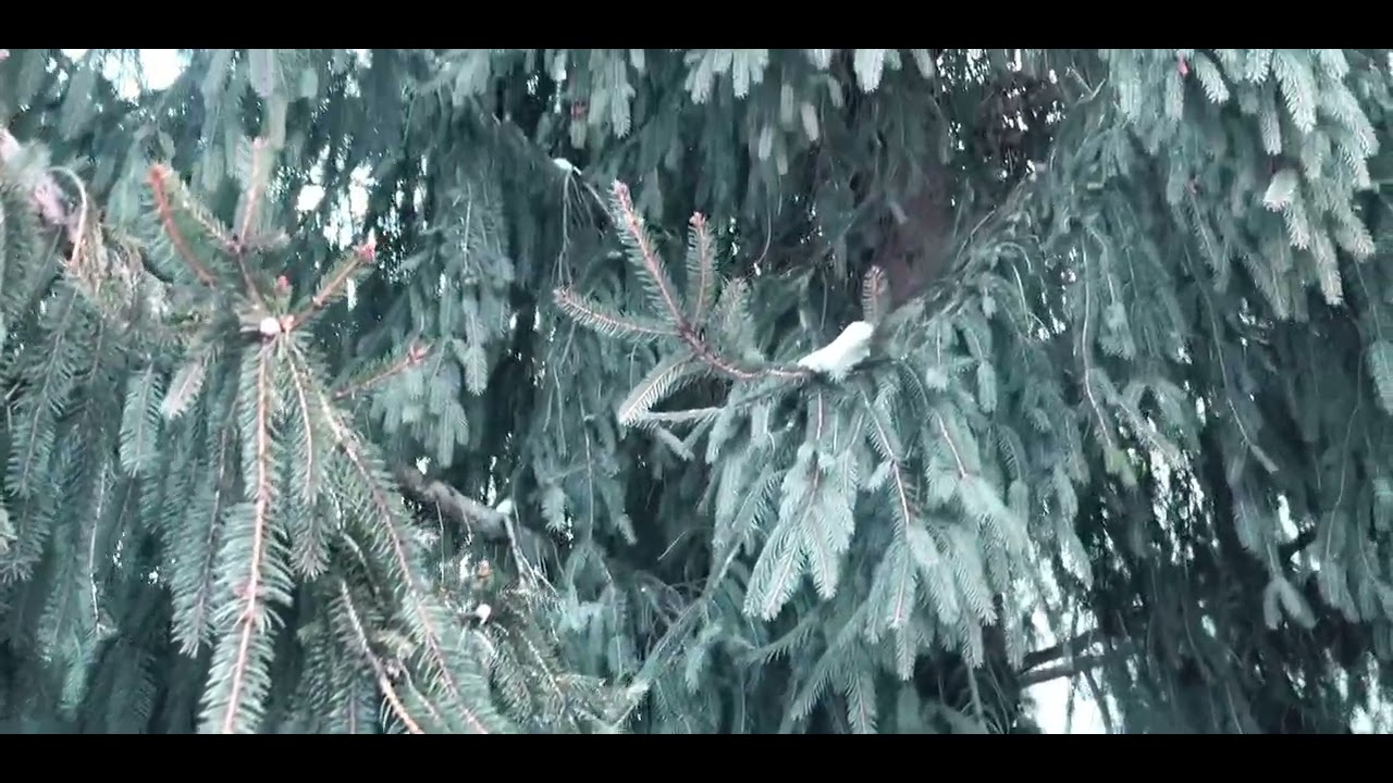 Выходной семьей в уютном месте✨Талгар