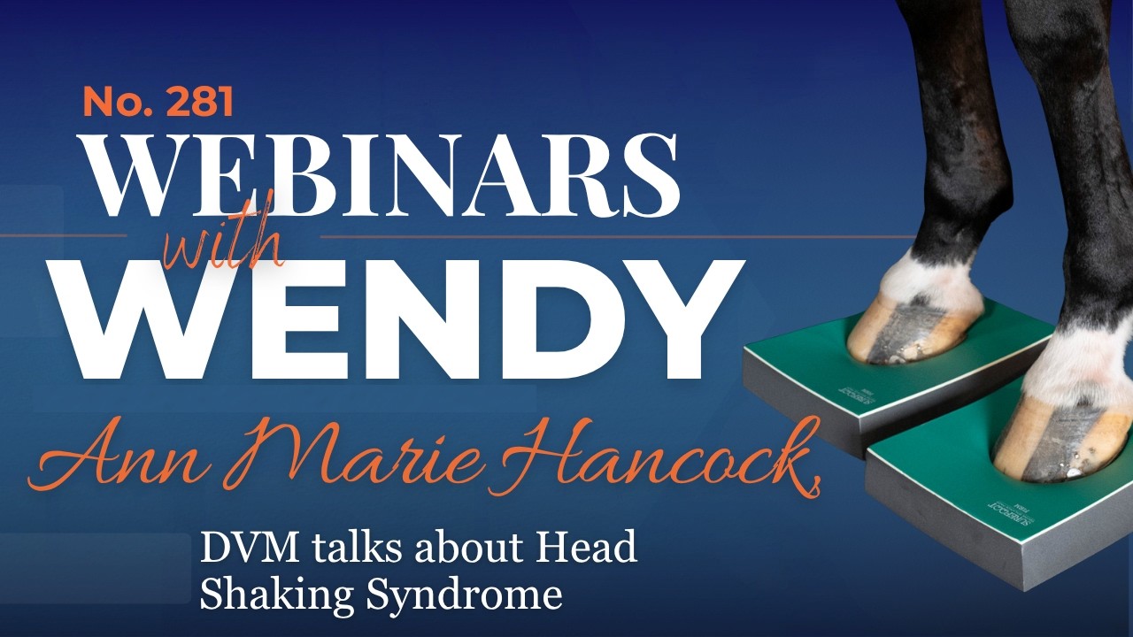 No. 281 Ann Marie Hancock DVM talks about Head Shaking Syndrome