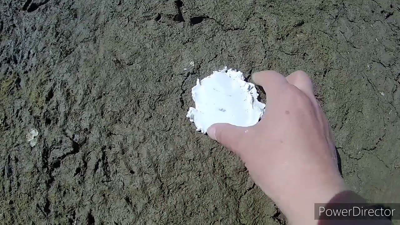 Plaster Cast footprint