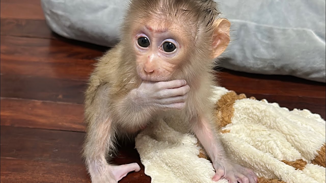 So lovely love you so much little baby 