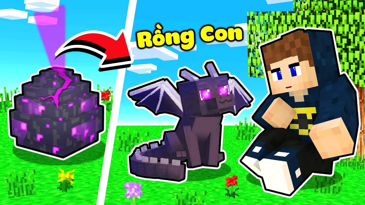 JAYGRAY THỬ THÁCH ẤP TRỨNG RỒNG NGUYÊN TỐ TRONG MINECRAFT*NUÔI RỒNG LỬA VÀ RỒNG ENDER TROLL NOOB