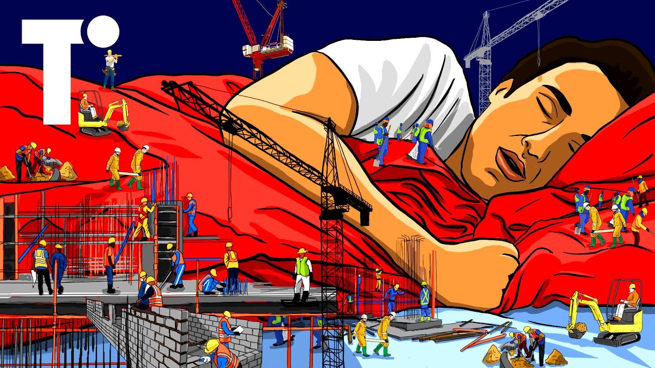 Where will everyone sleep during the Qatar World Cup?