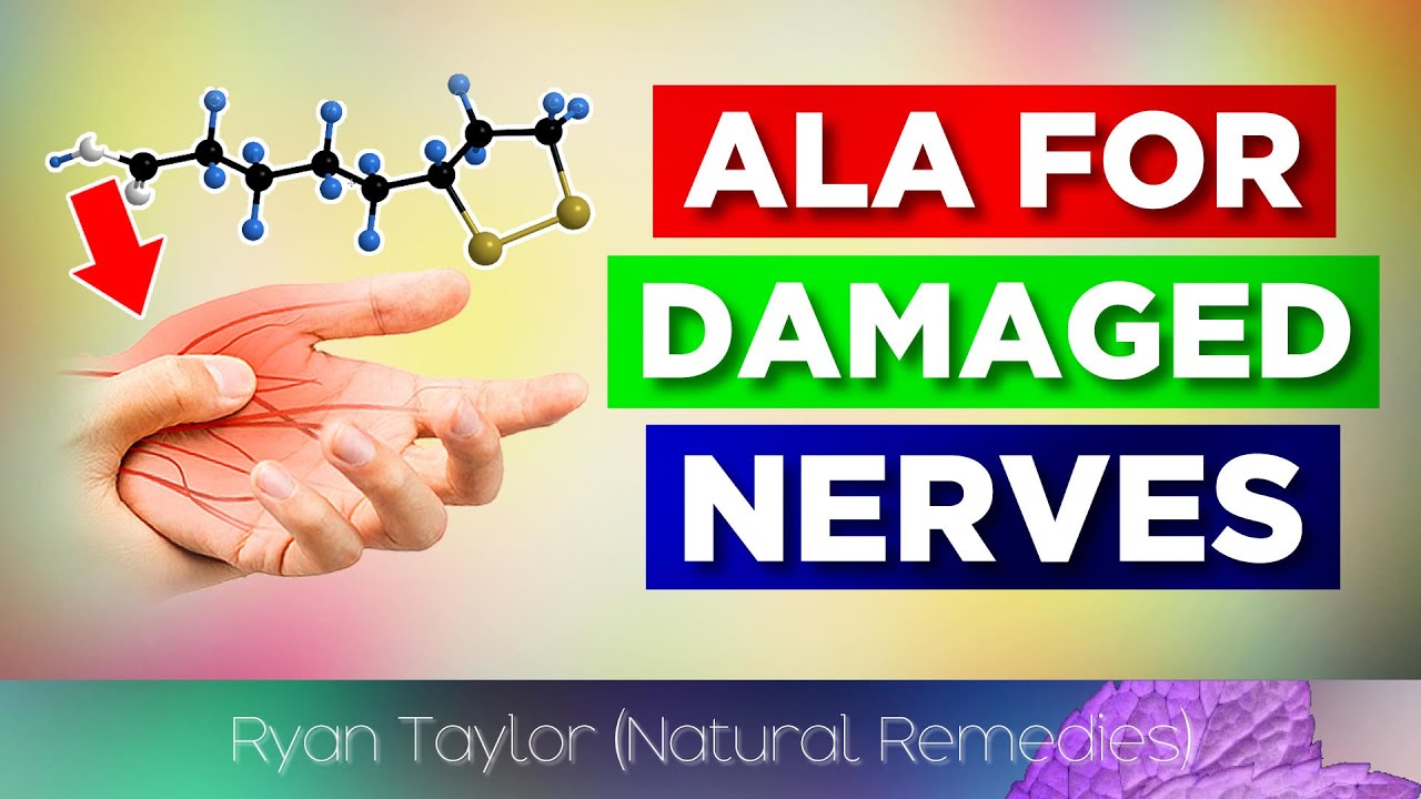 Alpha Lipoic Acid: Health Benefits (Nerve Repair)
