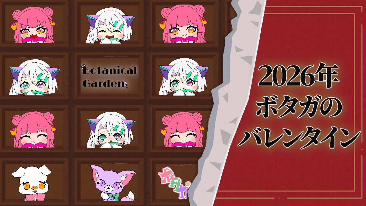 【ボタガ】2026年ボタガのバレンタイン。【botaga Valentine 2026】
