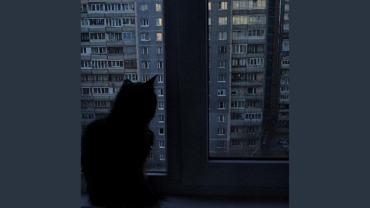 Forgotten