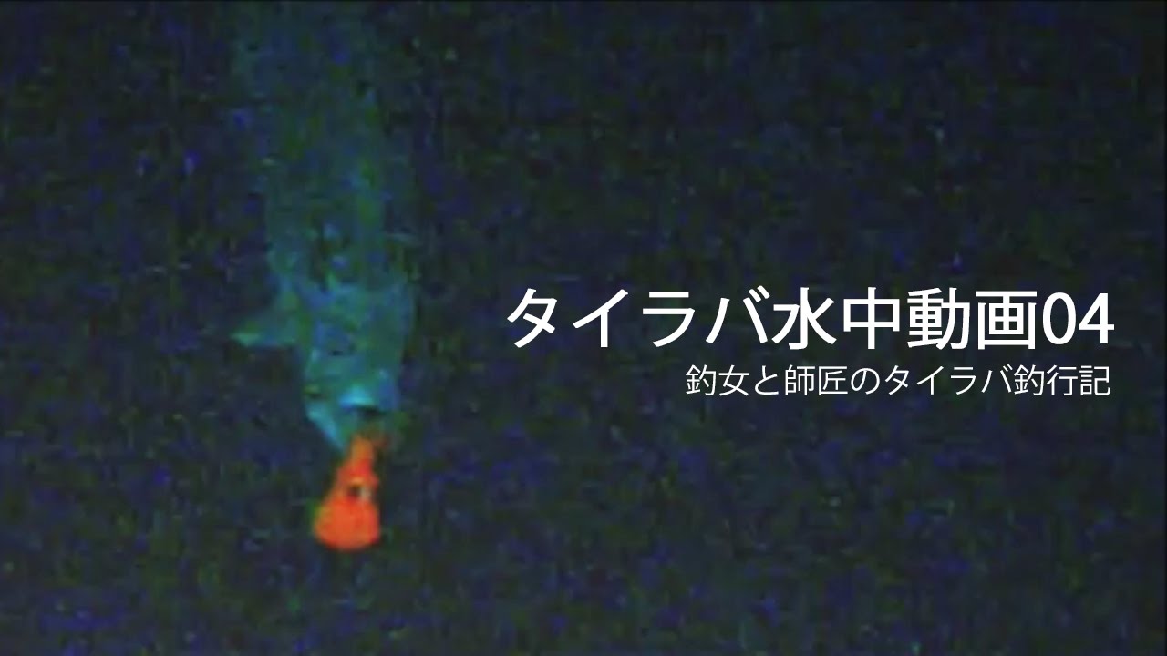 タイラバ水中動画04 ～マダイはどのようにバイトするのか？編～