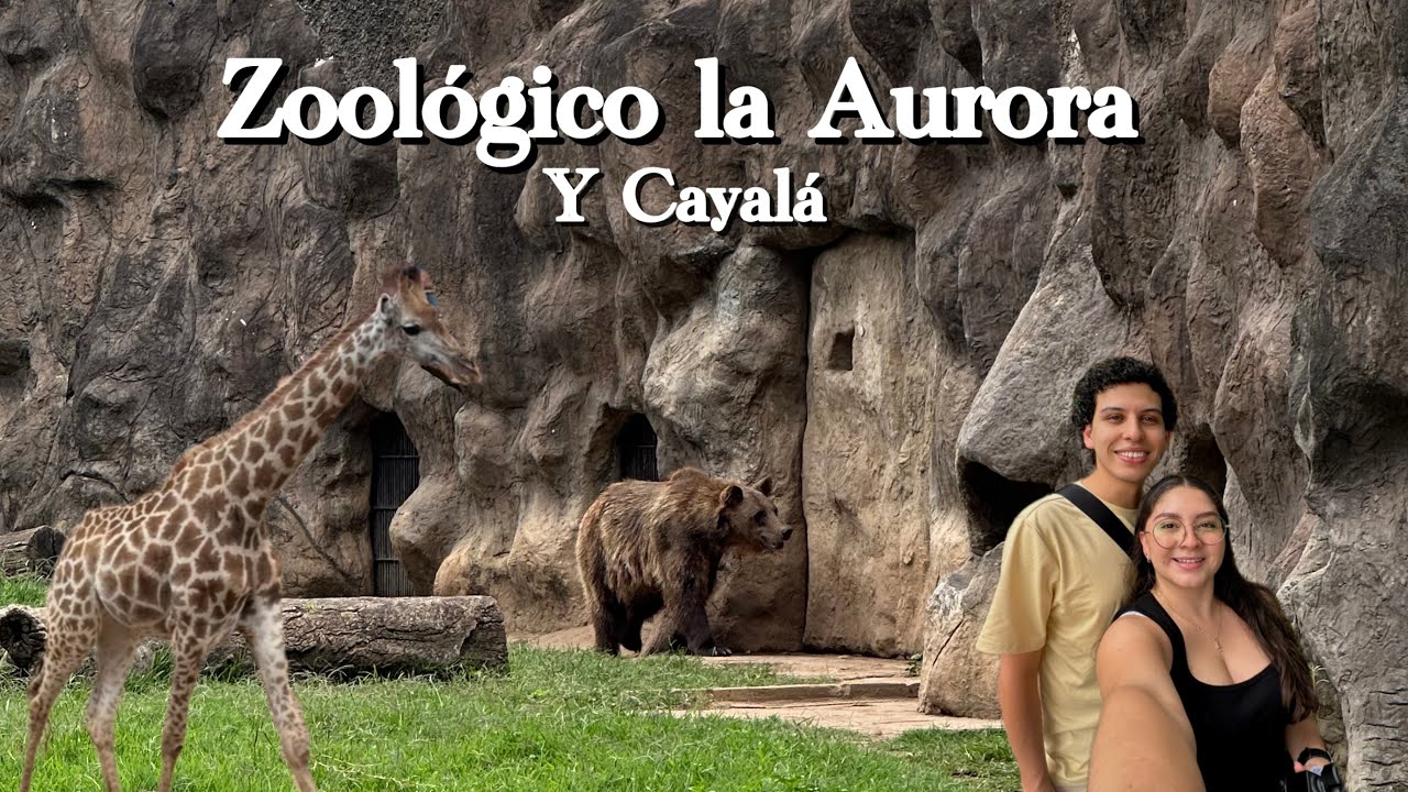 Zoológico La Aurora🦒🇬🇹 ¿Vale la pena visitarlo? + Cayalá en 1 Día 🦔
