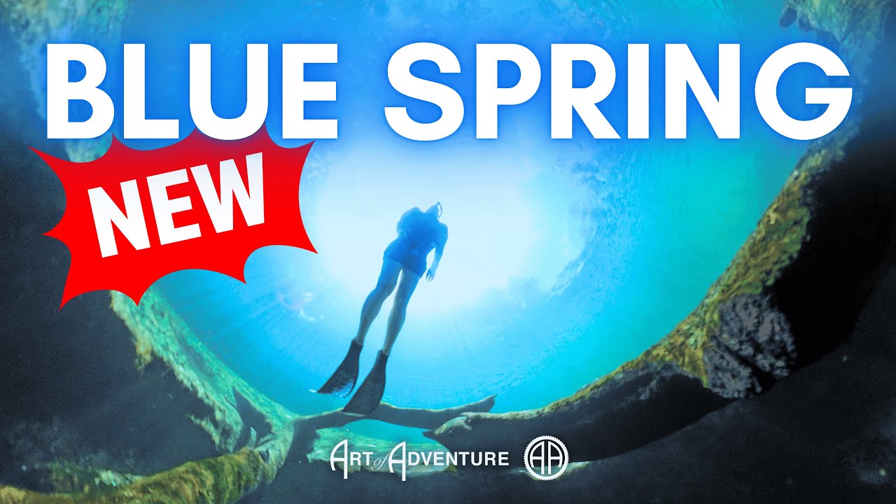 What's New at Blue Spring (and Why You'll Love It!)