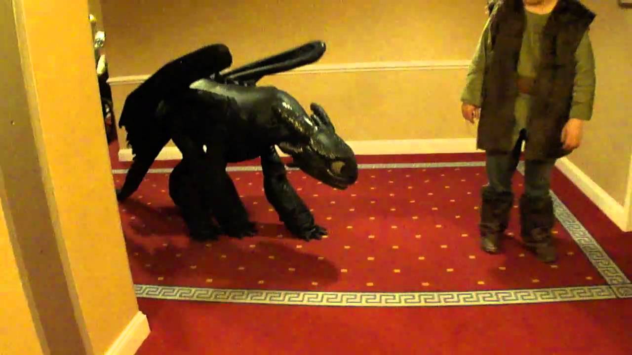 Toothless chasing Hiccup