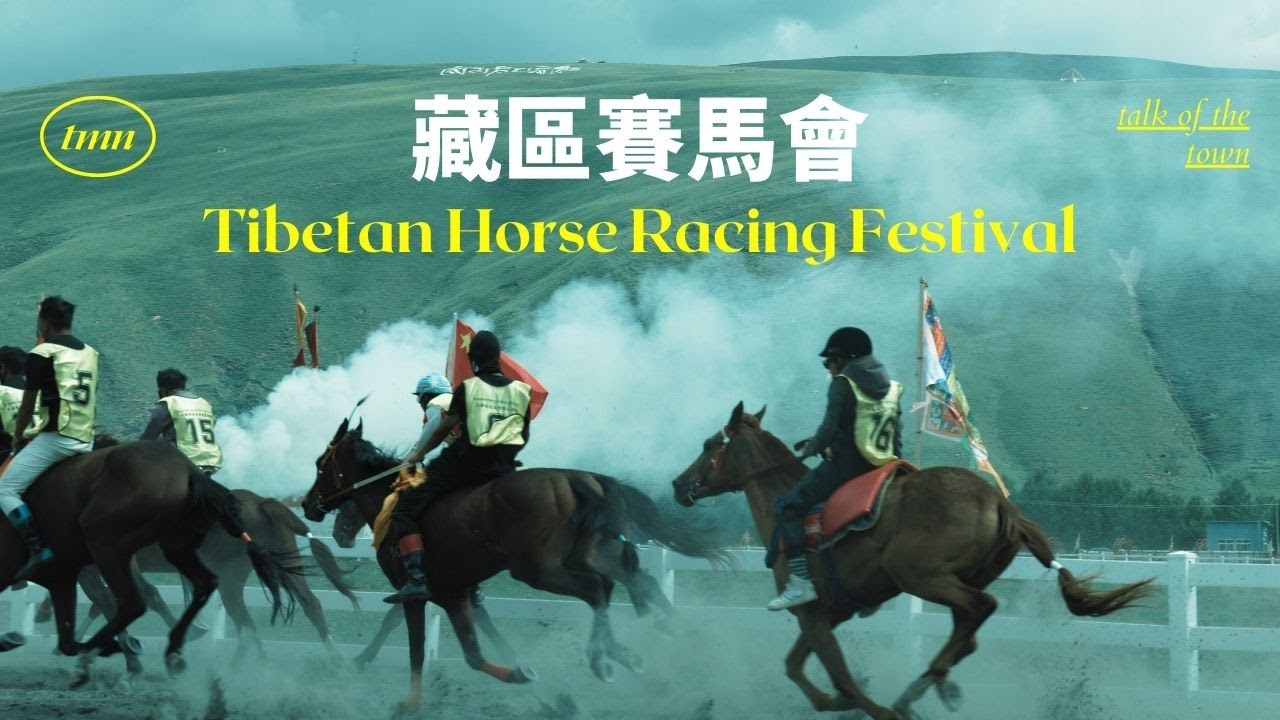 藏區賽馬會｜草原上的速度與熱血盛宴丨民族風情與傳統的傳承丨感受藏族文化的熱情與力量