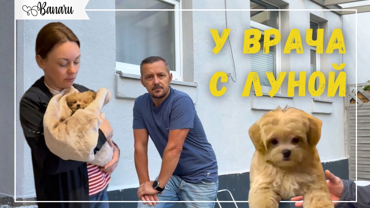 Поехали к врачу&hellip; / Снова спорт/ Выбираем фасад нашей террасы 