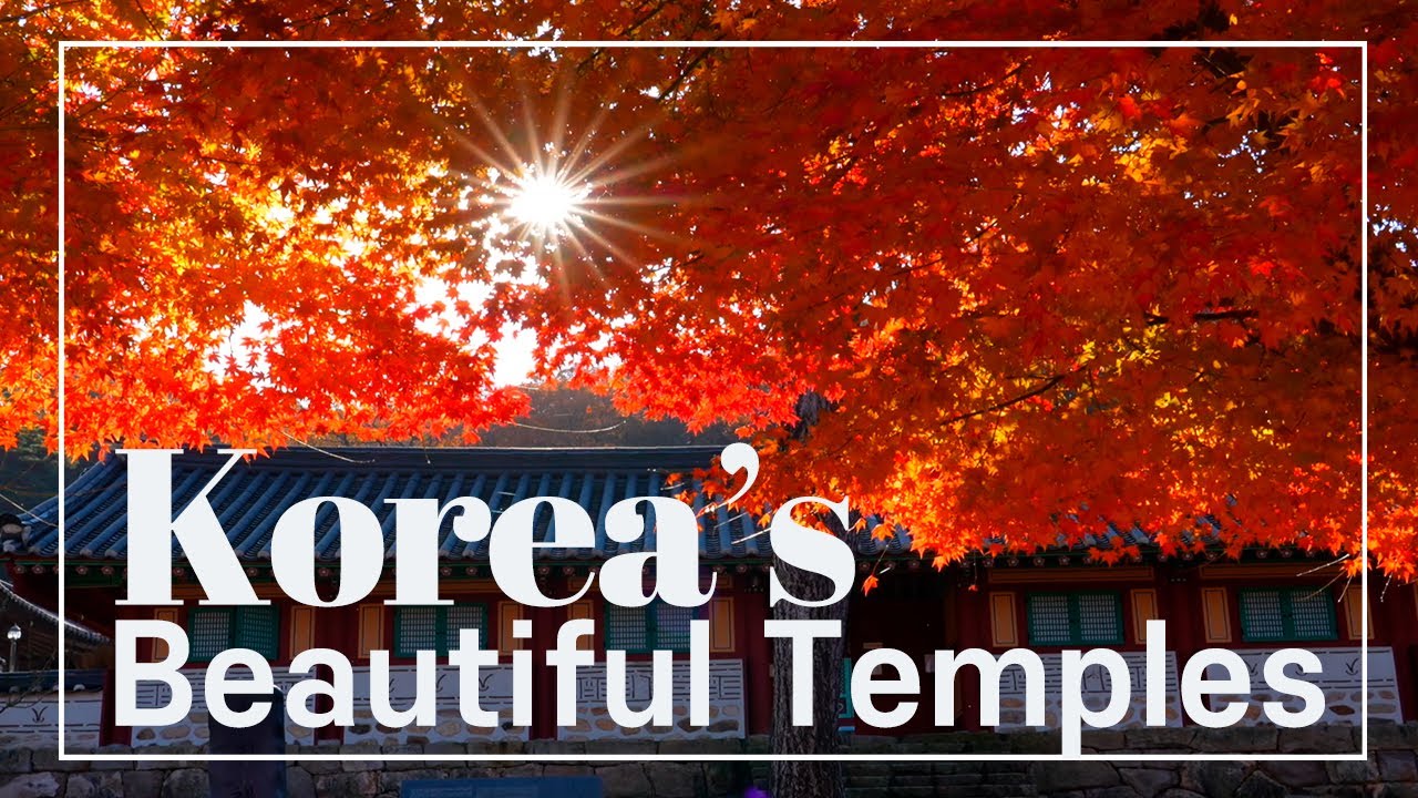 [Korea 4K Nature Relaxation Film] - 2025 사찰의 단풍 명소 Best8, Beautiful autumn foliage at Korean temples