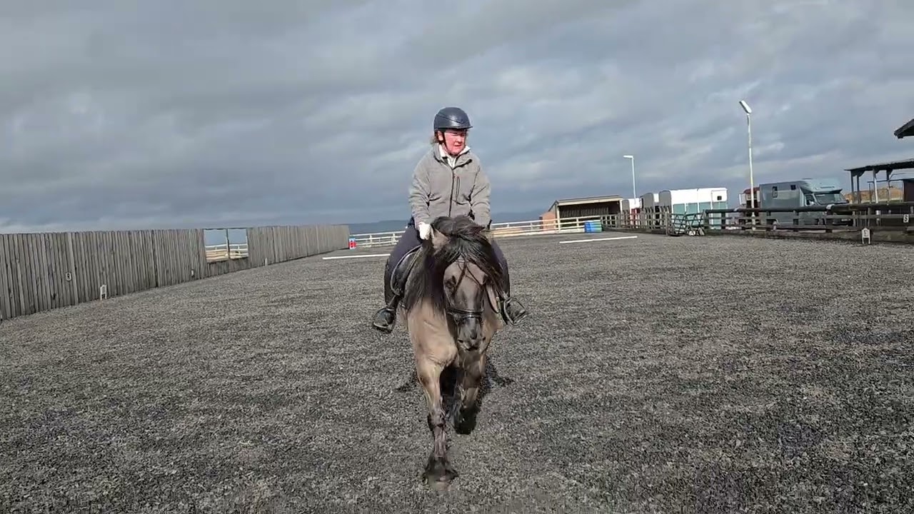 Intro 3 Feb