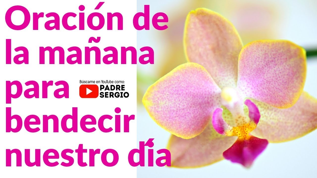 Oración de la mañana para bendecir nuestro día
