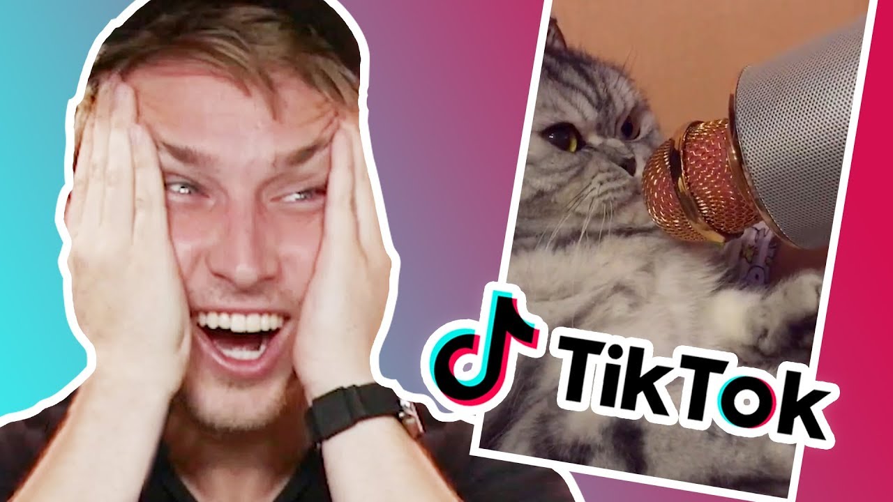 WE REACT TO TIK TOKS!