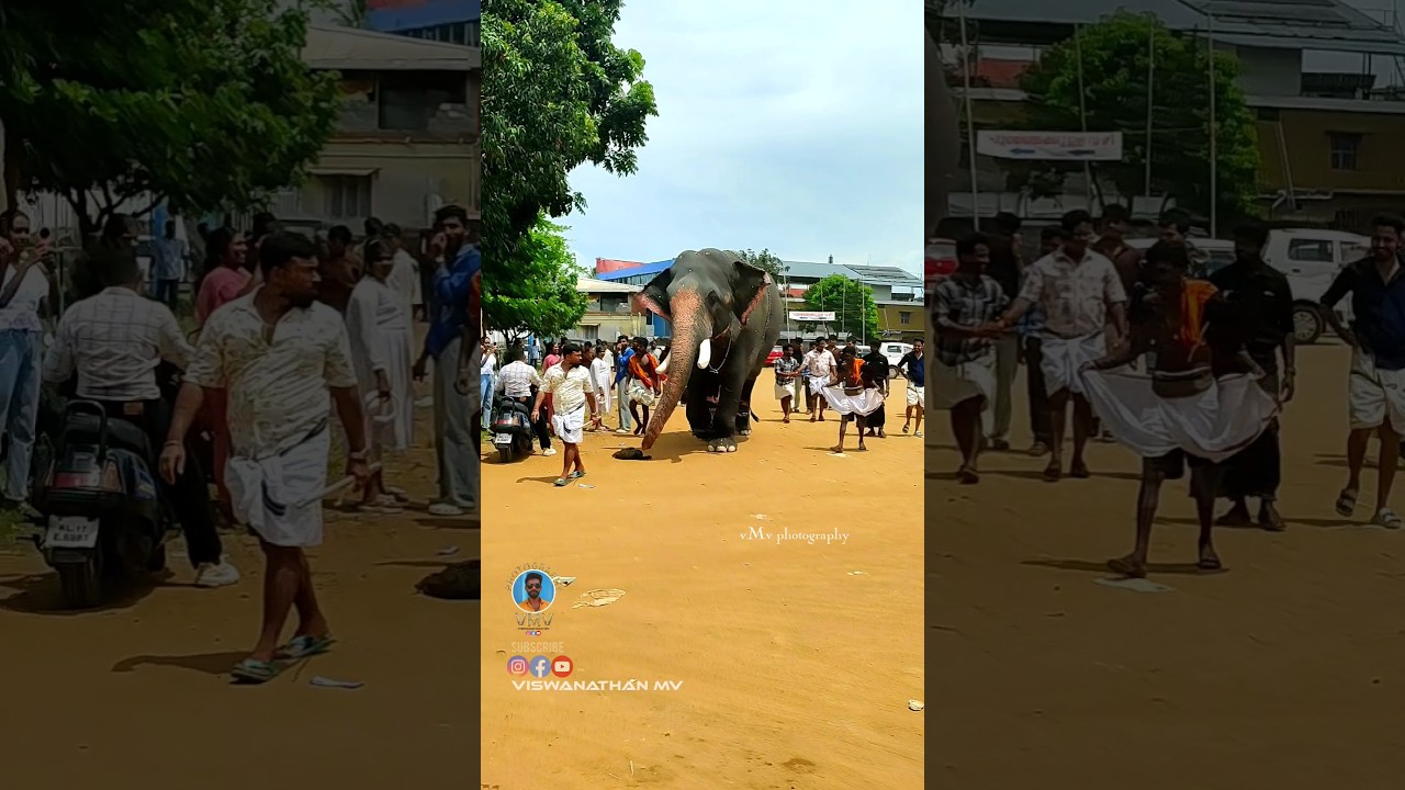 കന്നി 20 പെരുന്നാൾ 2025 | Marthoma Cheriya Palli Kothamangalam 