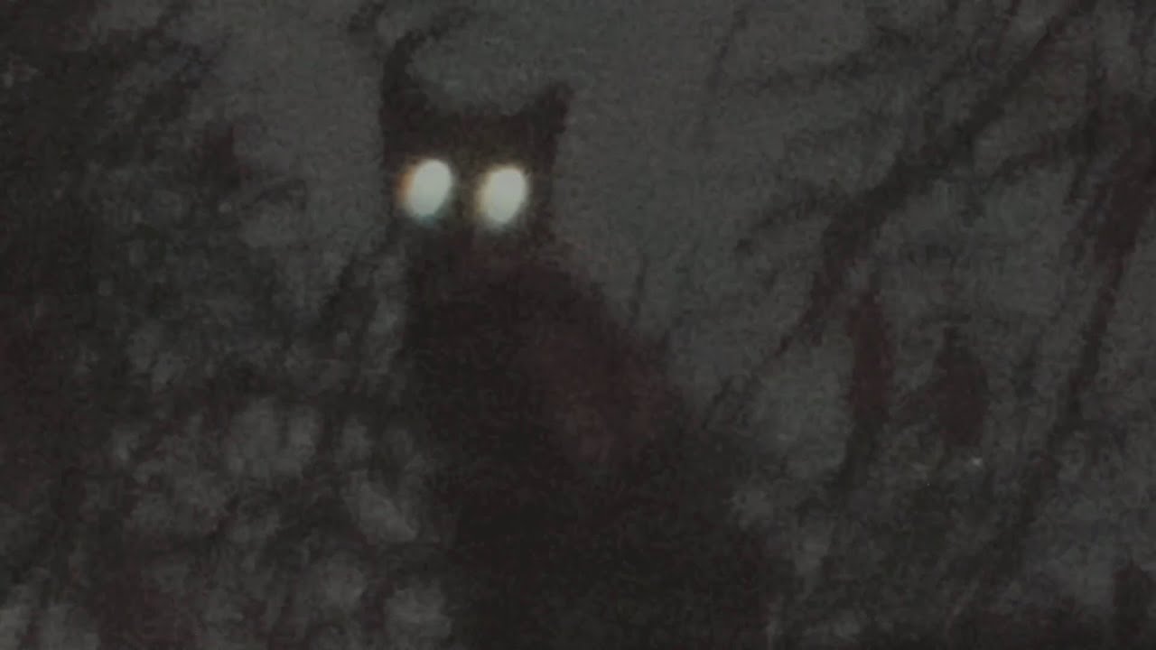 solamentedan - que la luna sepa