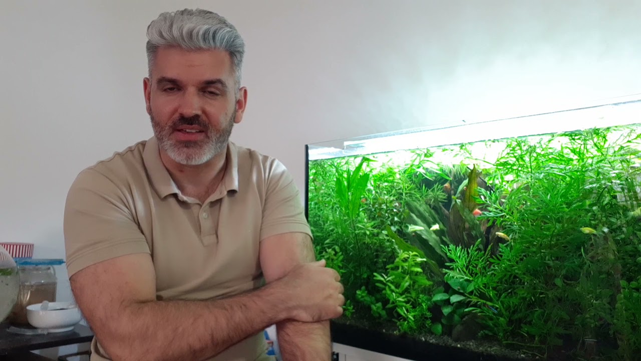 Akvariumo apšvietimas