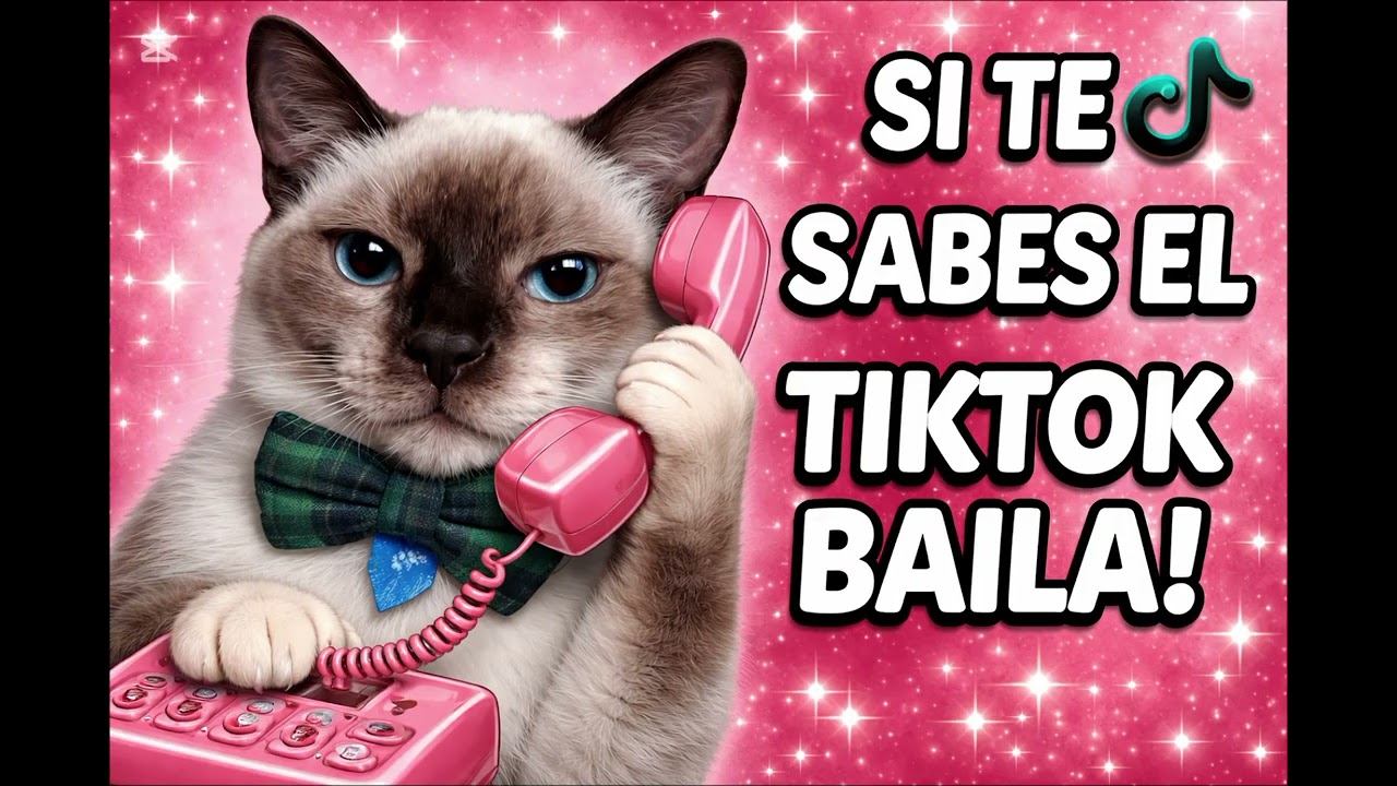 SI TE SABES TIKTOK BAILA-2025/6