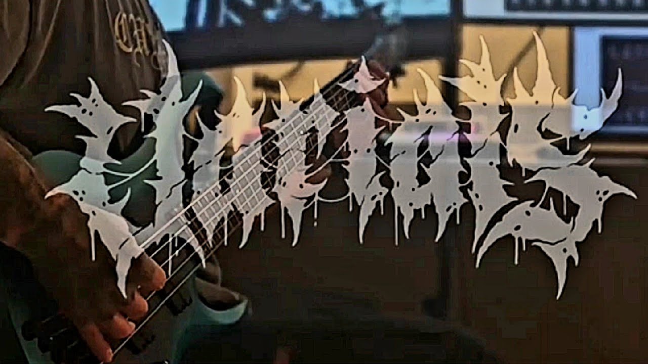 Varials: The Hurt Chamber (Bass Cover)