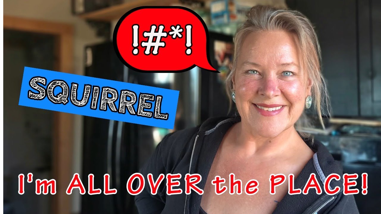 APOLOGIES...I'M ALL OVER THE PLACE! tiny house, homesteading, off-grid, cabin build, DIY HOW TO