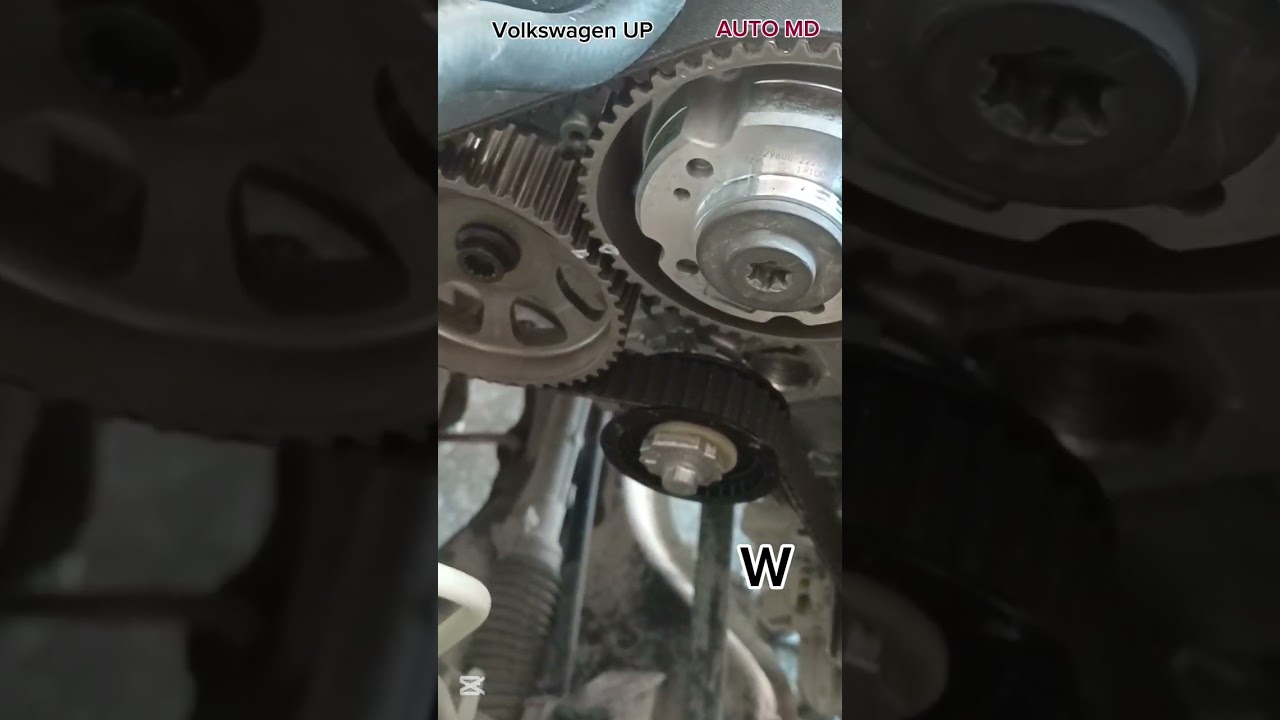 CINGHIA DISTRIBUZIONE VOLKSWAGEN UP