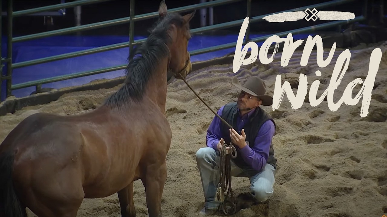 Training A Wild Horse In An Hour - Saturday 5pm