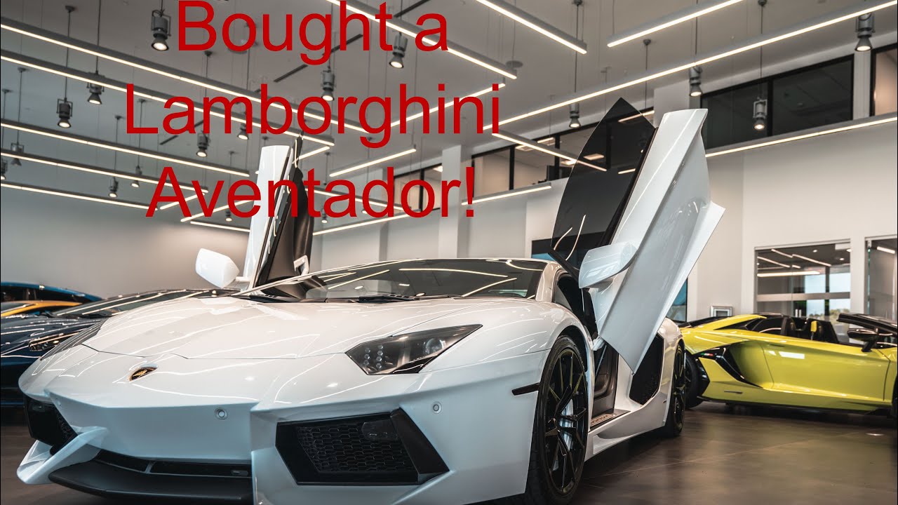 Tall Guy Car Reviews Buys His Lamborghini Aventador