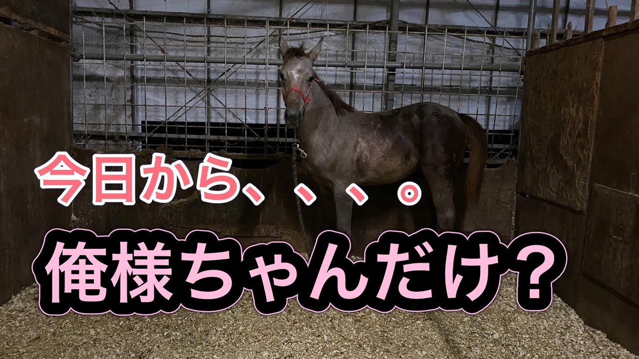 2024年10月7日　今日からお母さんはいないよ！