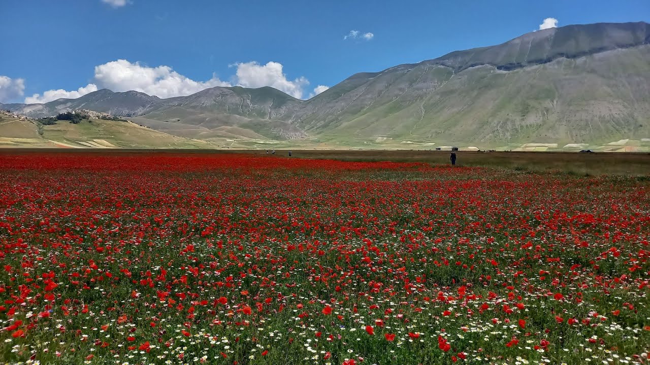 Castelluccio di Norcia - La 