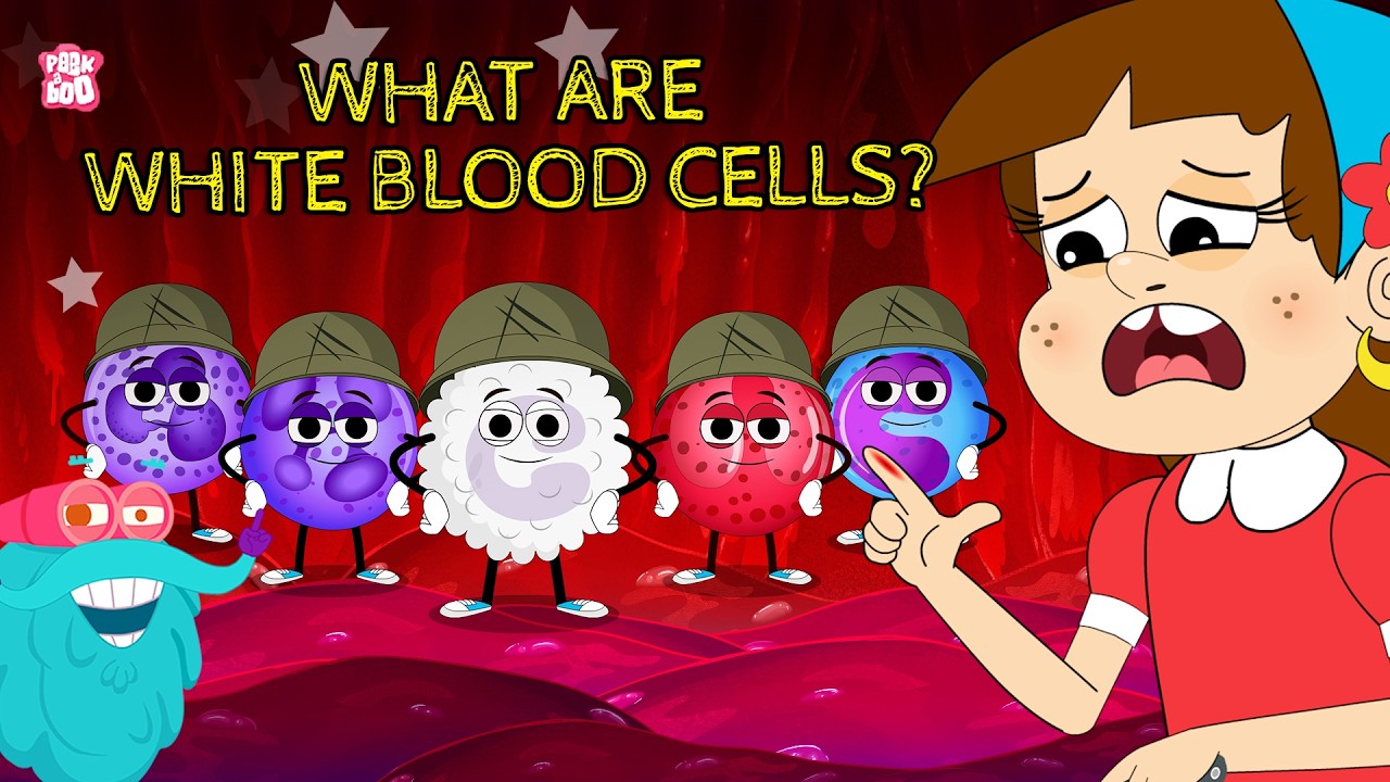 What Are White Blood Cells? 🩸 | The Body&rsquo;s Tiny Defenders Explained | Learn with Dr. Binocs