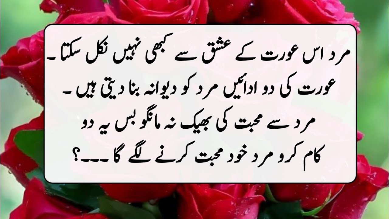 Bano Qudsia's Reflection About Love & Life || Quotes About life || Motivational Quotes For Success 
