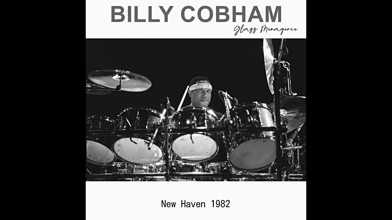Billy Cobham Observations and Reflections 1982