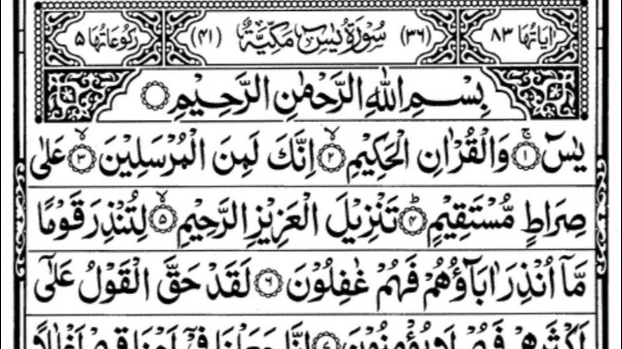 Surha Yasin🌸 -& AR Rhman🌸 -& Al Mulk 🌸 beautiful Quran, Tilawat, full Arabic text #new #vidio #2026 
