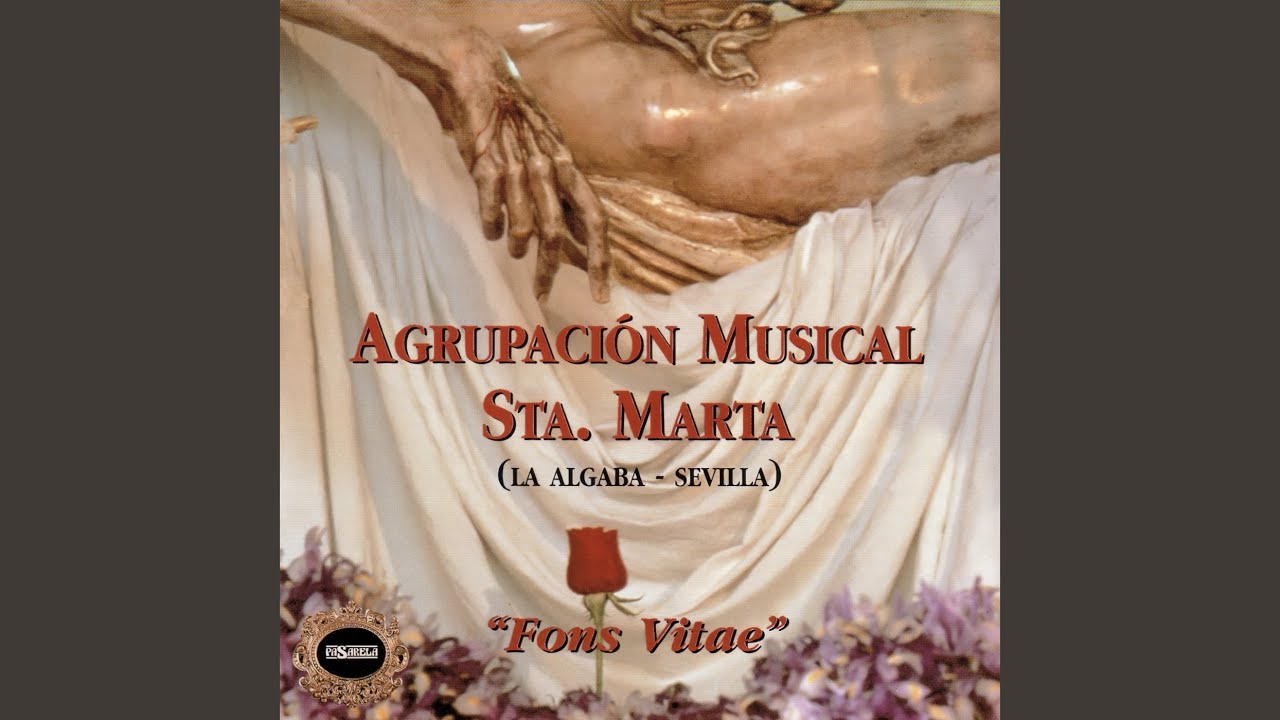 Fons Vitae