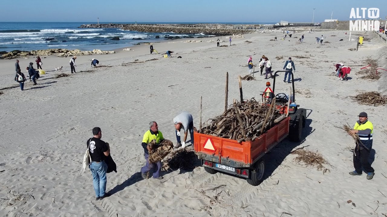 População aderiu em força na limpeza da praia de Vila Praia de Âncora | Altominho TV