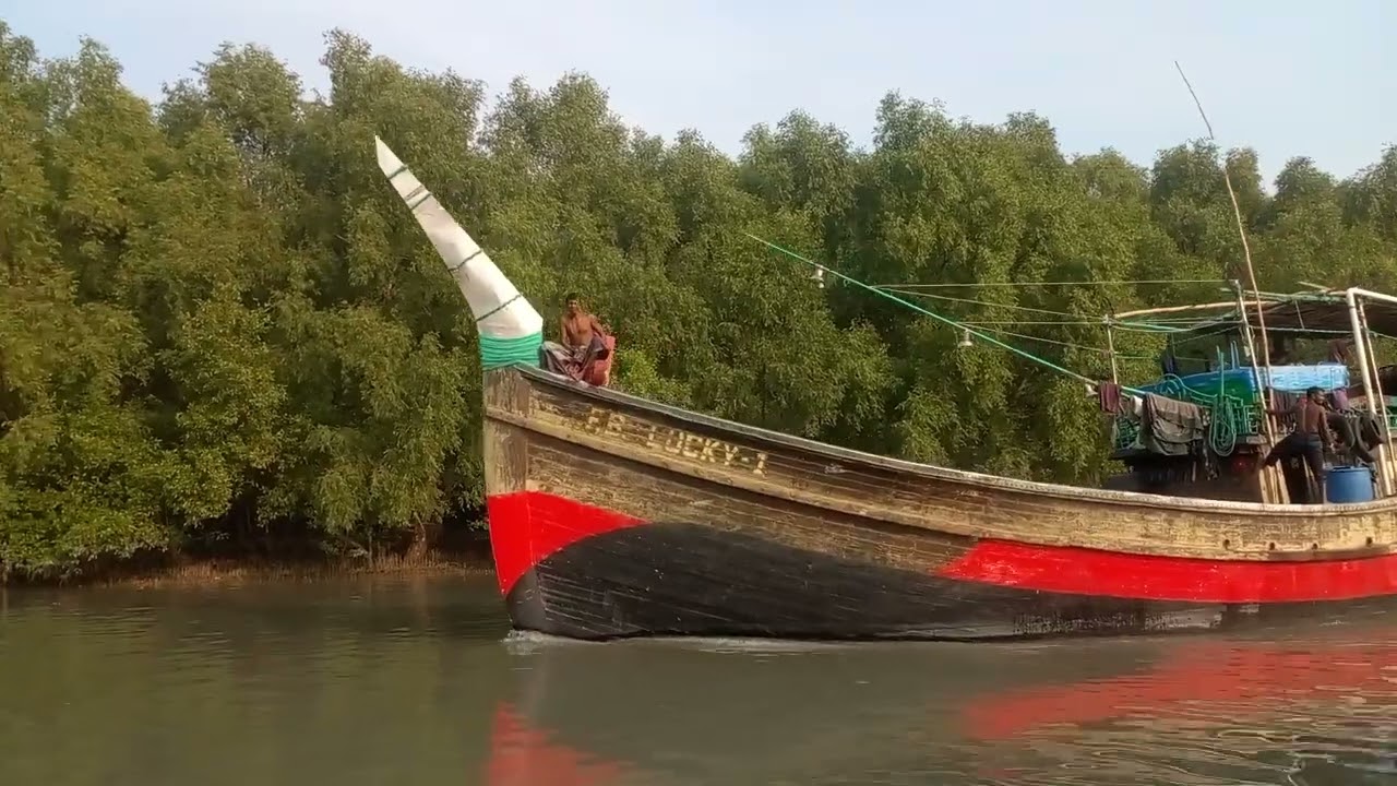 দুবলার চরের ভিডিও দেখুন