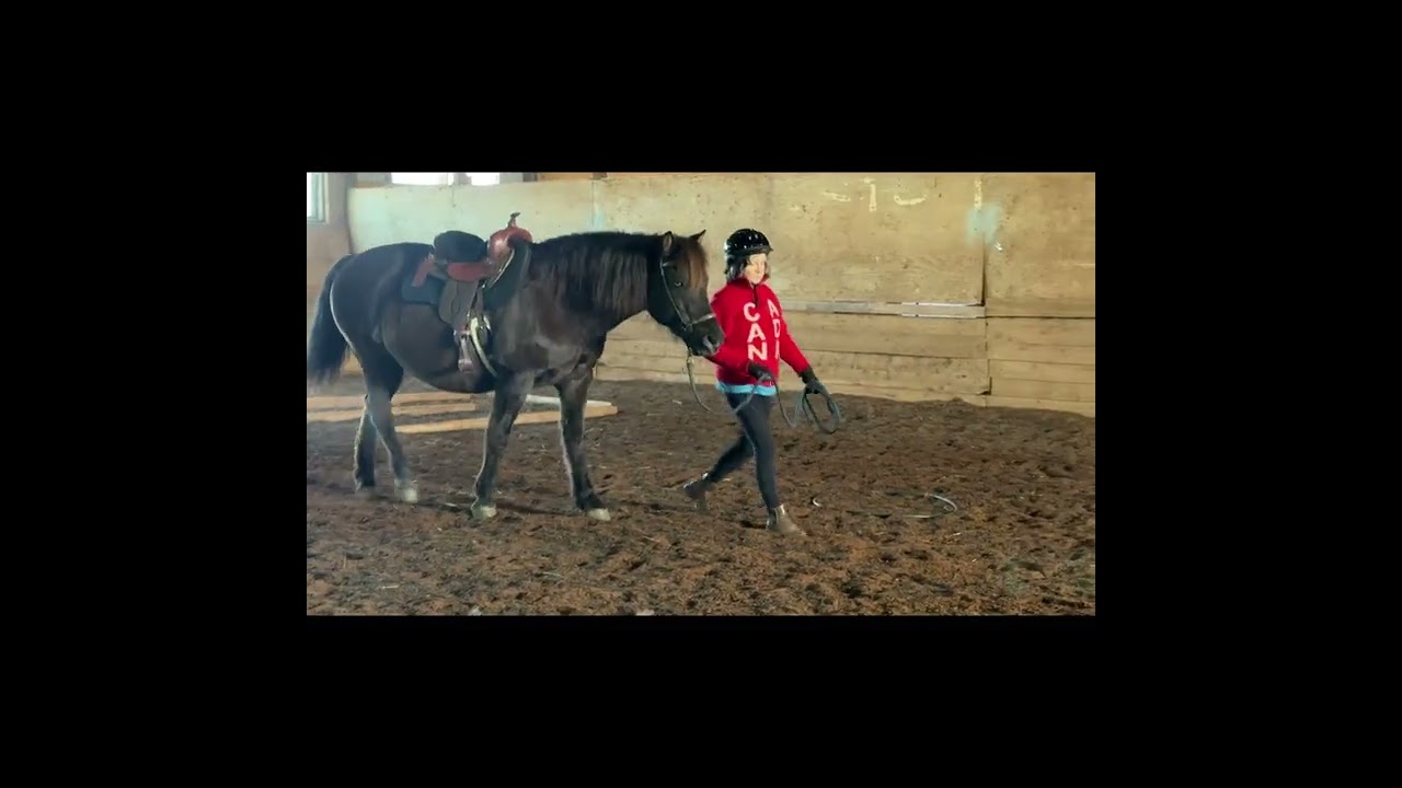 Nancy Ingalls & Chelcee   February 2026 IHA Orange Equagility Course