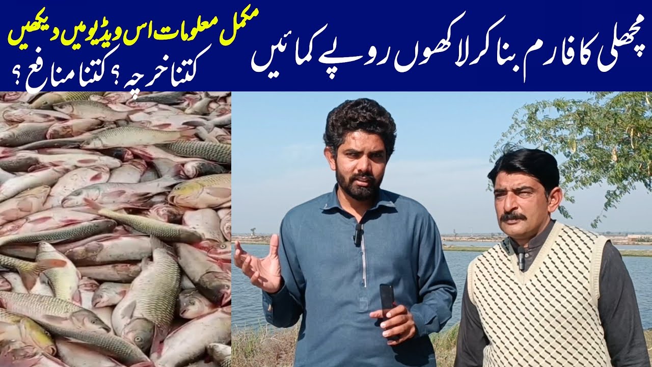 fish farming in Pakistan | fish farming business | fish farming at home | how to start fish farm