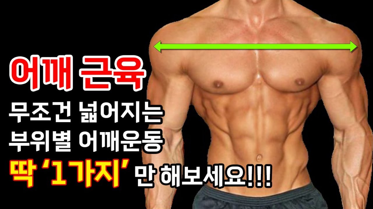 최신 근육활성도 기계, 근전도 장비로 입증된 가장 효율 높은 어깨운동 루틴은? 어깨근육 부위별 딱 '1가지'만 하면 당신도 어깨깡패!