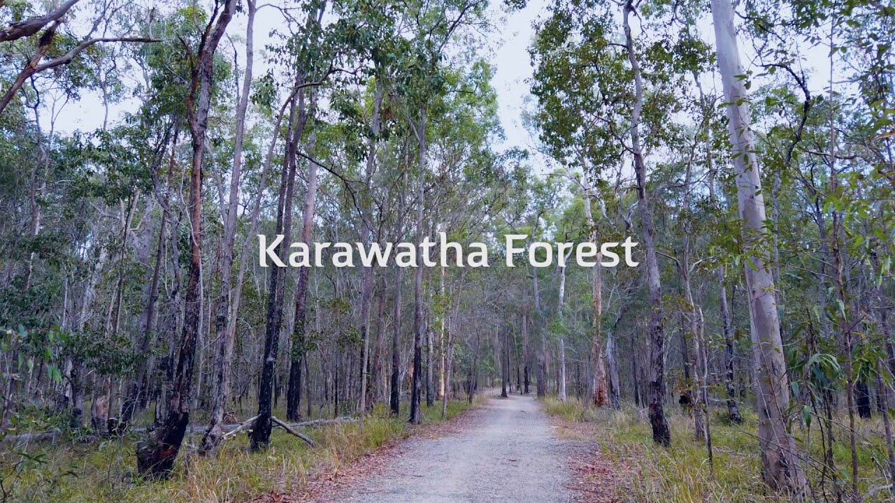 Walks in Karawatha Forest, Brisbane, Queensland