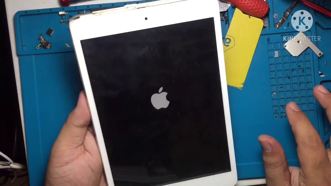 ipad mini 1 Lcd replacement | doy fixphone