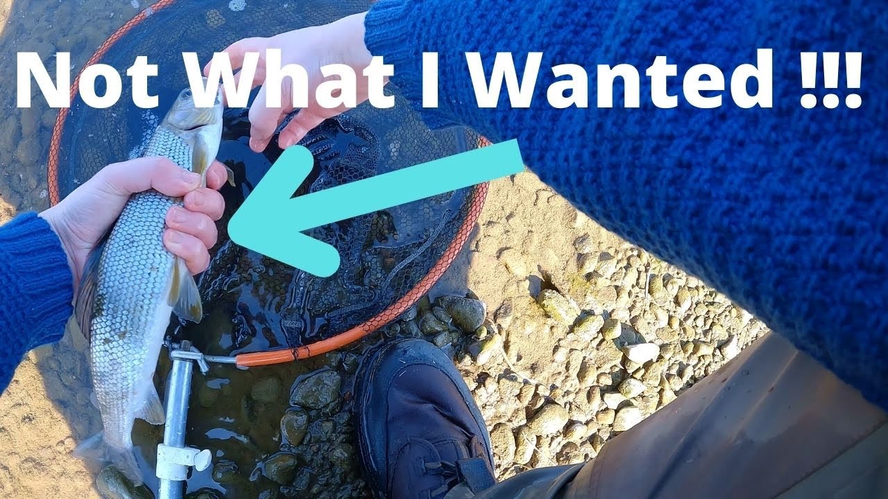 Ep 01 - River Trout Fly fishing | Christened New Fly Rod | New Season