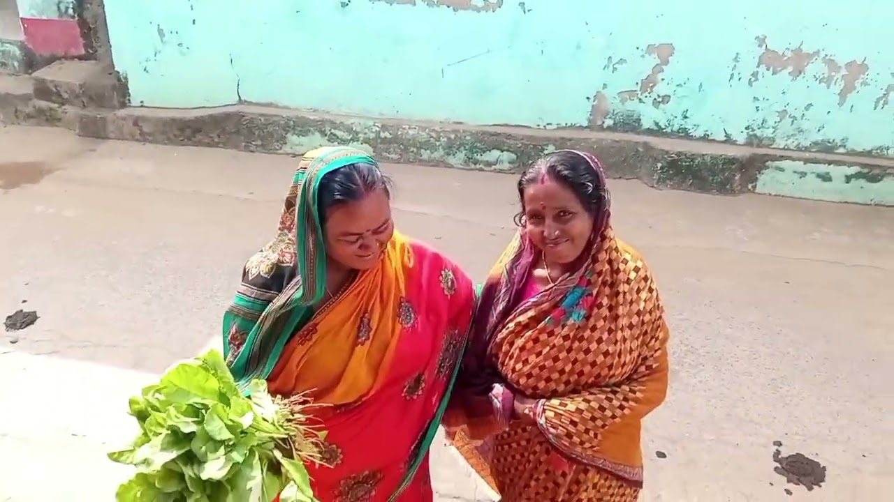 ରୁଦ୍ର ଆଉ ରାଜା ଯାଇଥିଲେ ଶାଗପାଇଁ ଇଏ ହଉଚି ଆମ ବାରି ଯୋଉଠି ଆମର ଫସଲ ହଉଛି ଫସଲ.#My life daily vlog,#odia vlog 