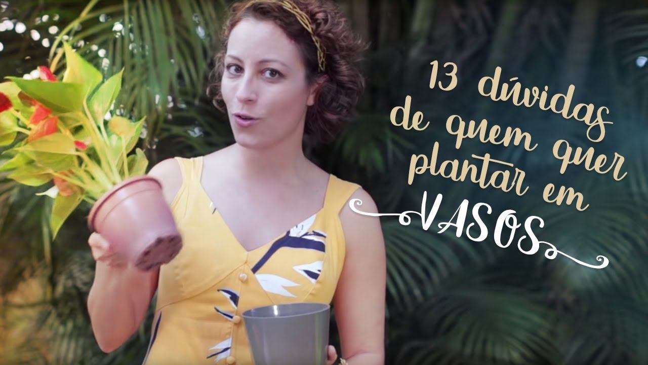 Vai PLANTAR em VASO? 13 respostas RÁPIDAS pras dúvidas MAIS comuns