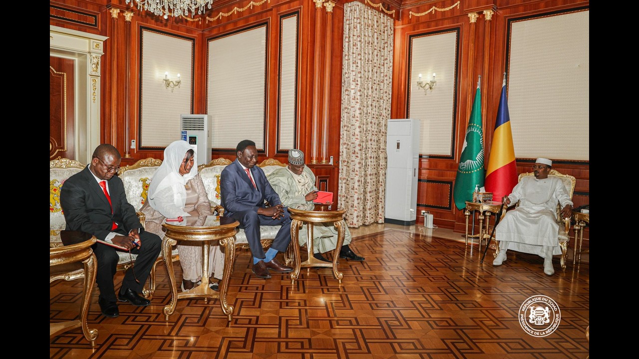 شؤون إنسانية: رئيس الجمهورية يستقبل وفدًا من الصليب الأحمر التشادي