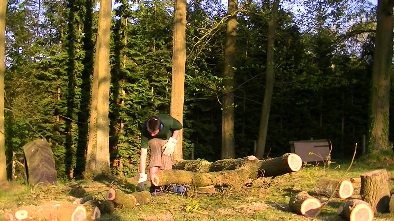 variations en crescendo sur le même thème