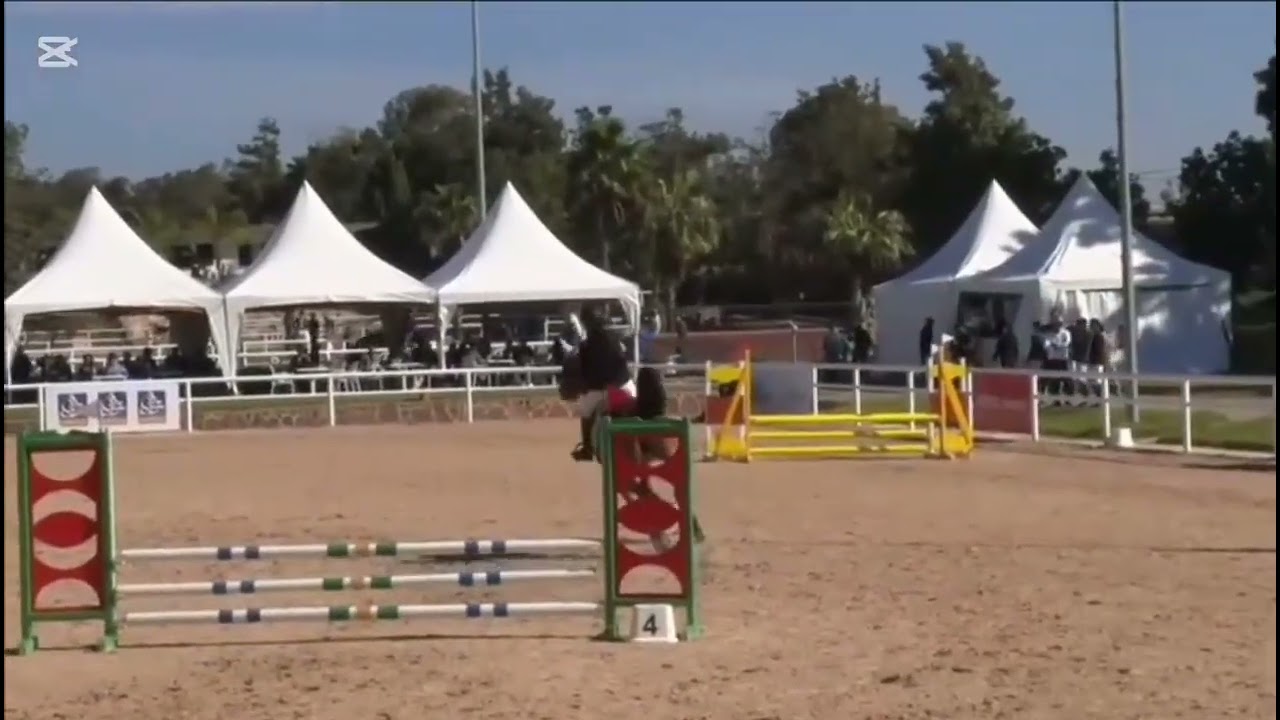 Stronger/l'équitation c'est la vie/ le sport c'est le bonheur ♡♡♡♡♡♡♡
