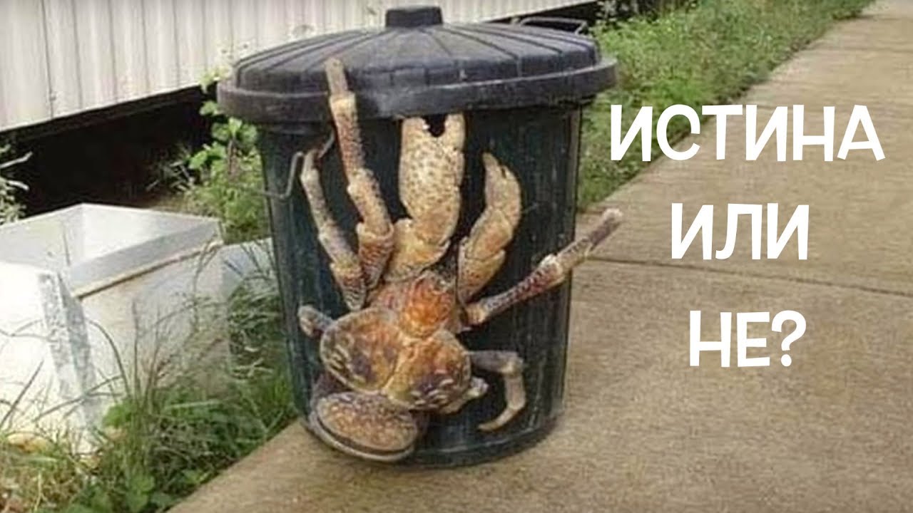 25 снимки, които няма да повярвате, че НЕ СА Фотошоп