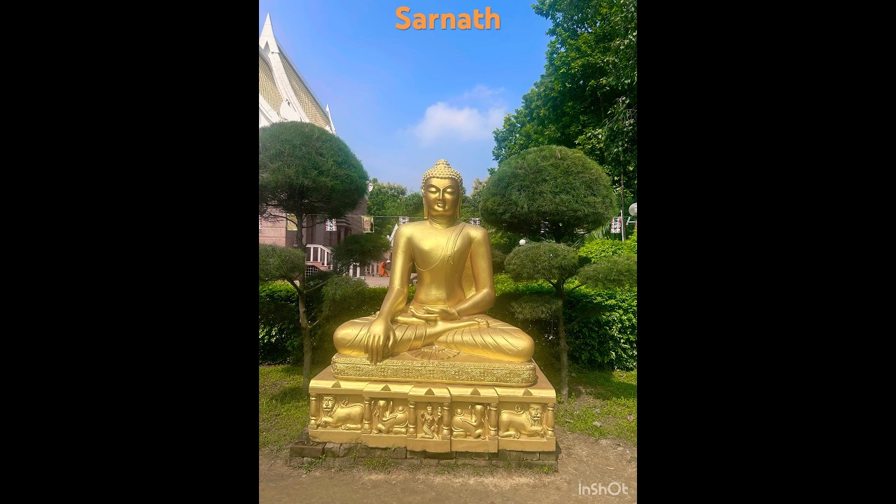 ✨ Soulful Steps at Sarnath &ndash; Where Buddha&rsquo;s Journey Began ✨#sarnath #buddhism